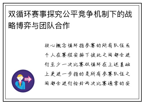双循环赛事探究公平竞争机制下的战略博弈与团队合作